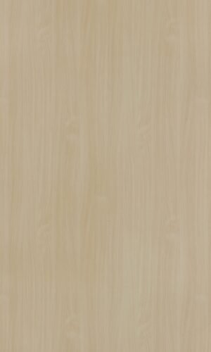 Bodensee Beech | 303 SU