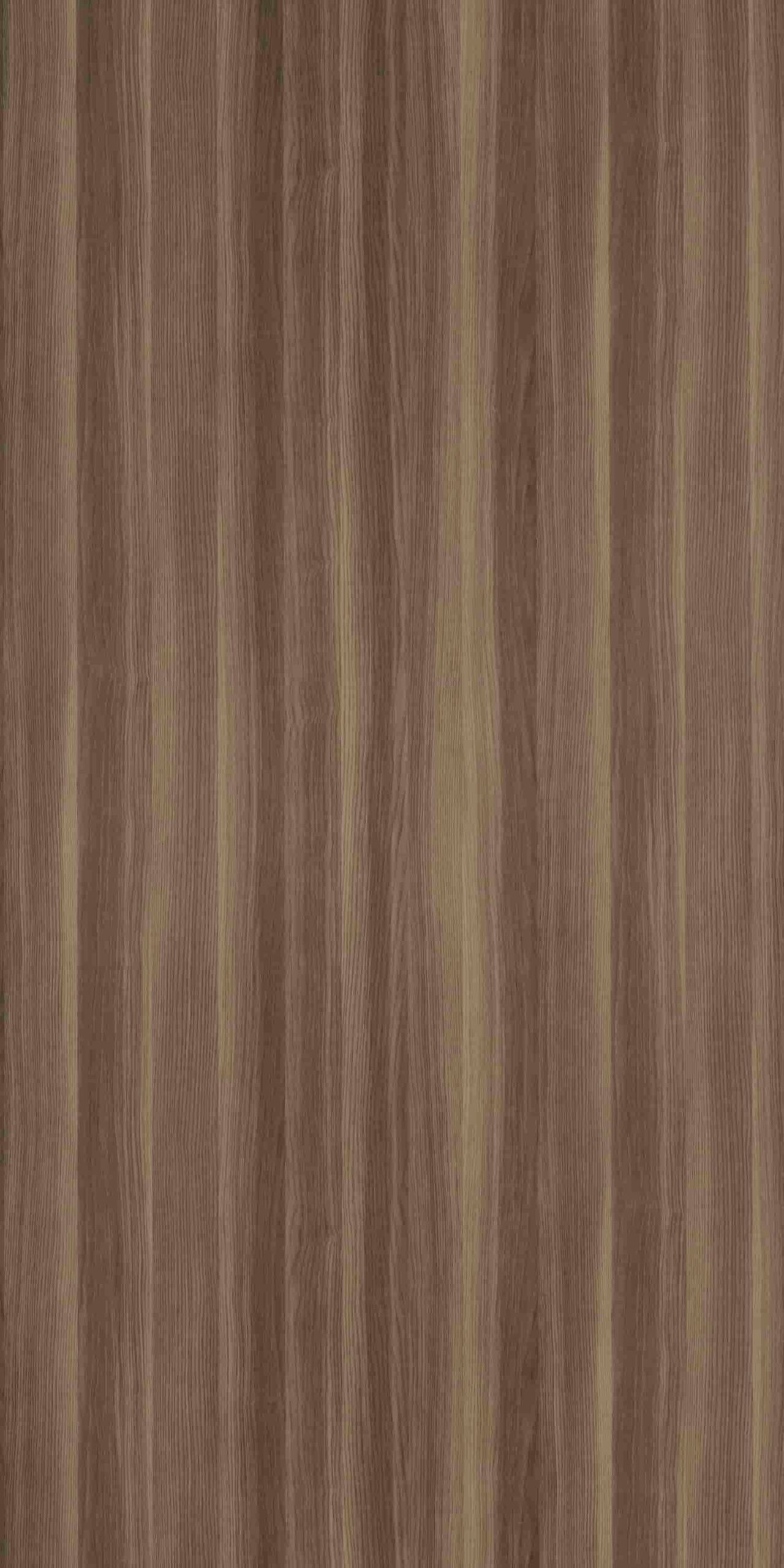 Boras Ash | 609 SU
