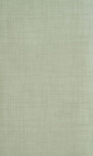 Brushed Lint | 3902 AL