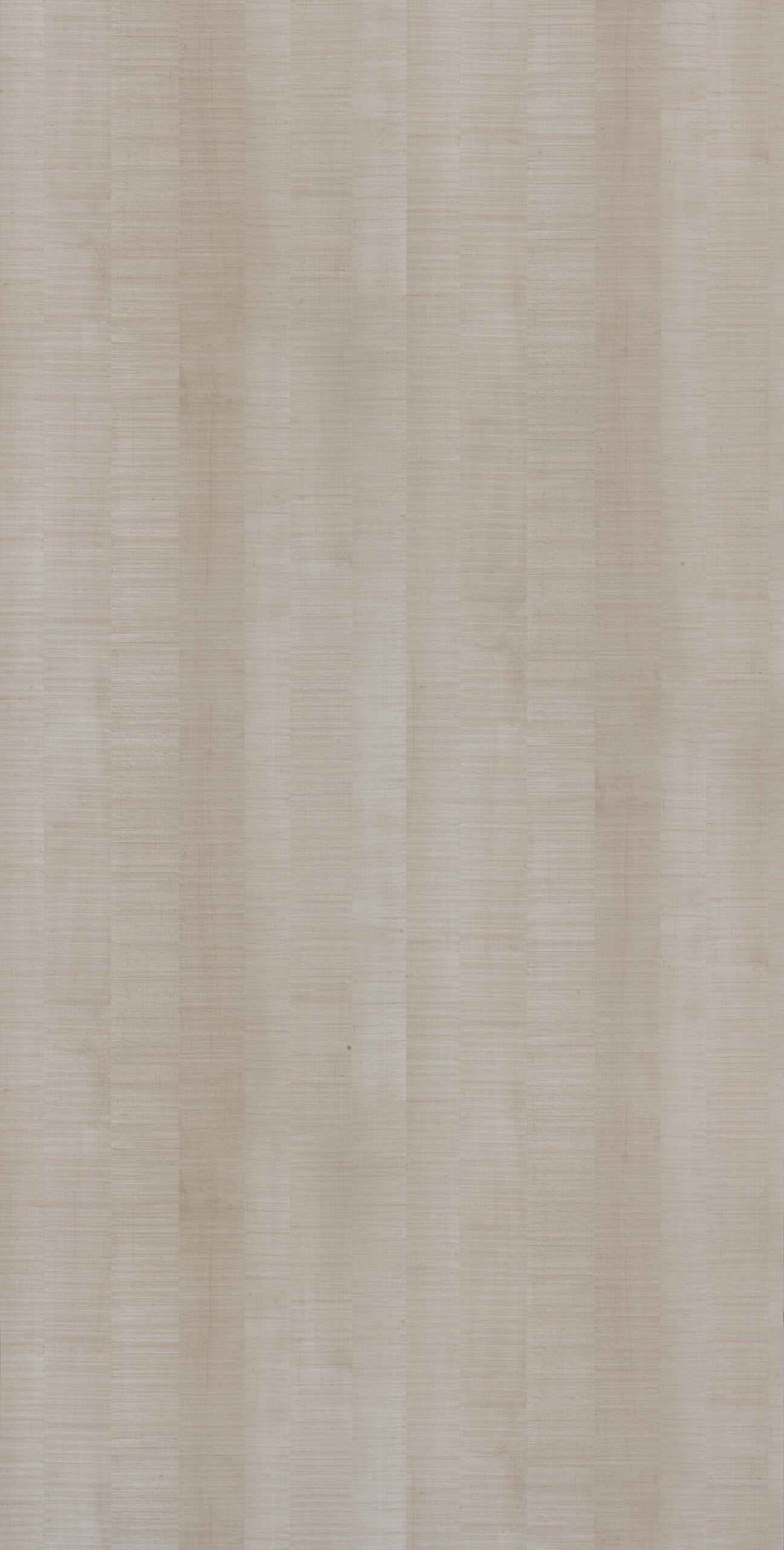 Claro Maple | 3342 SU
