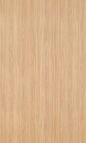Crown Ash | 5591 SU