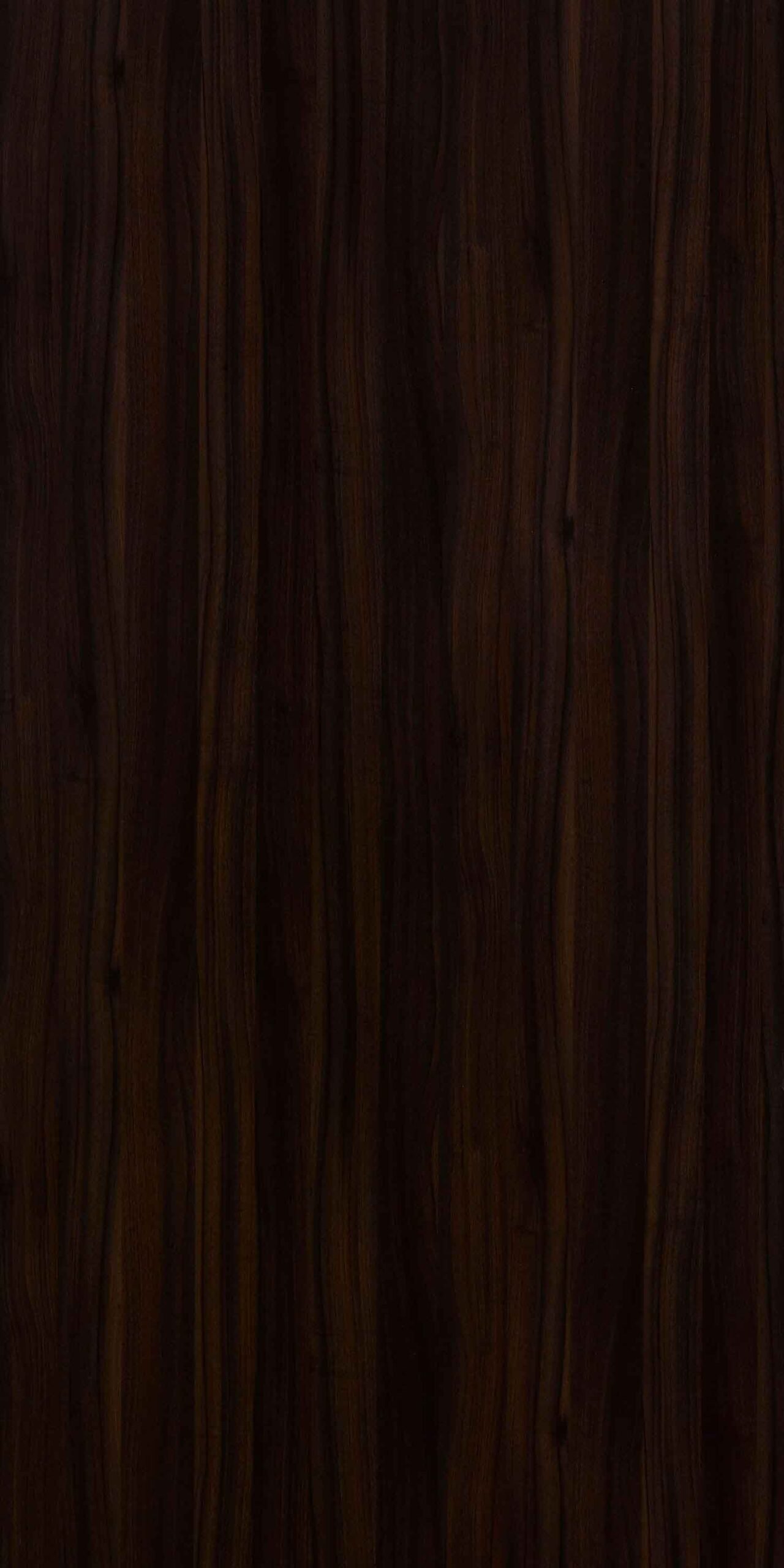 Ermanno Walnut | 424 HG