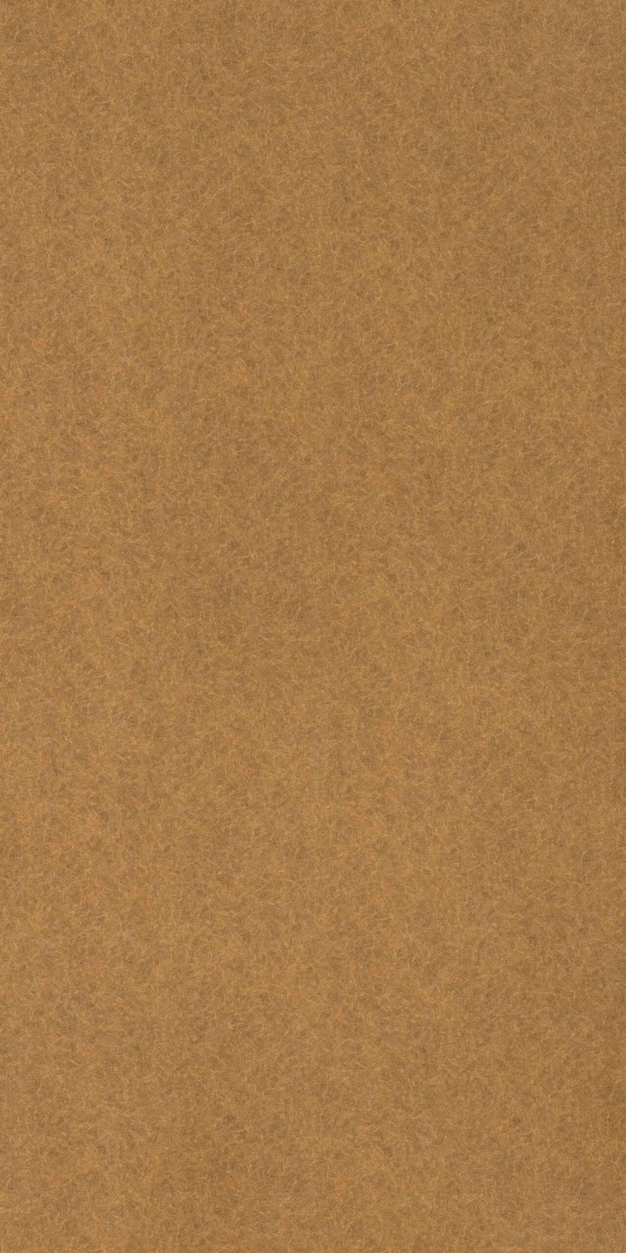 Golden Shimmer | 962 TS