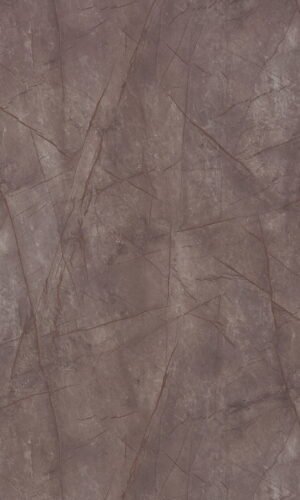 Grey Caspio | 3925 HG