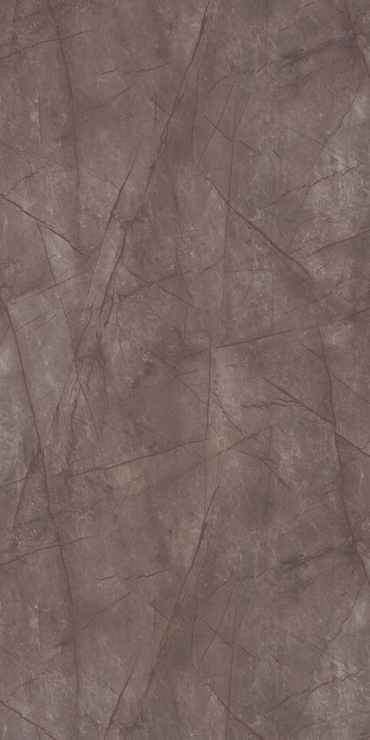Grey Caspio | 3925 HG