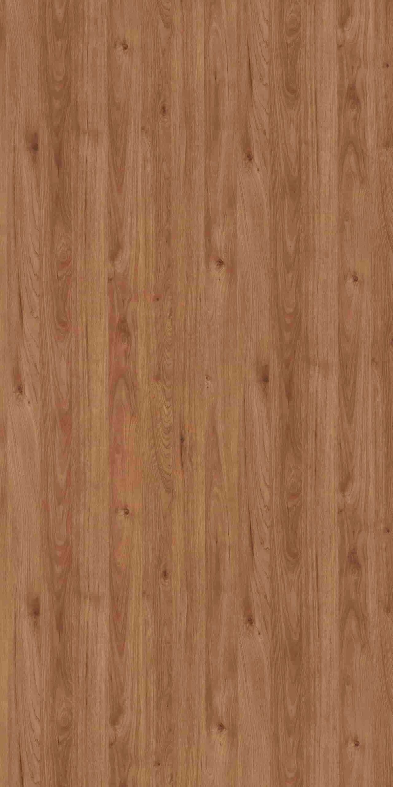 Indiana Hickory | 4517 SU