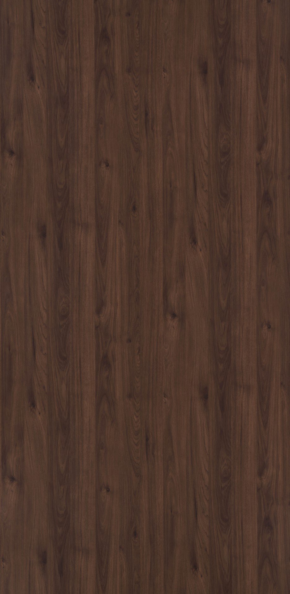 Jackson Hickory | 4516 SU