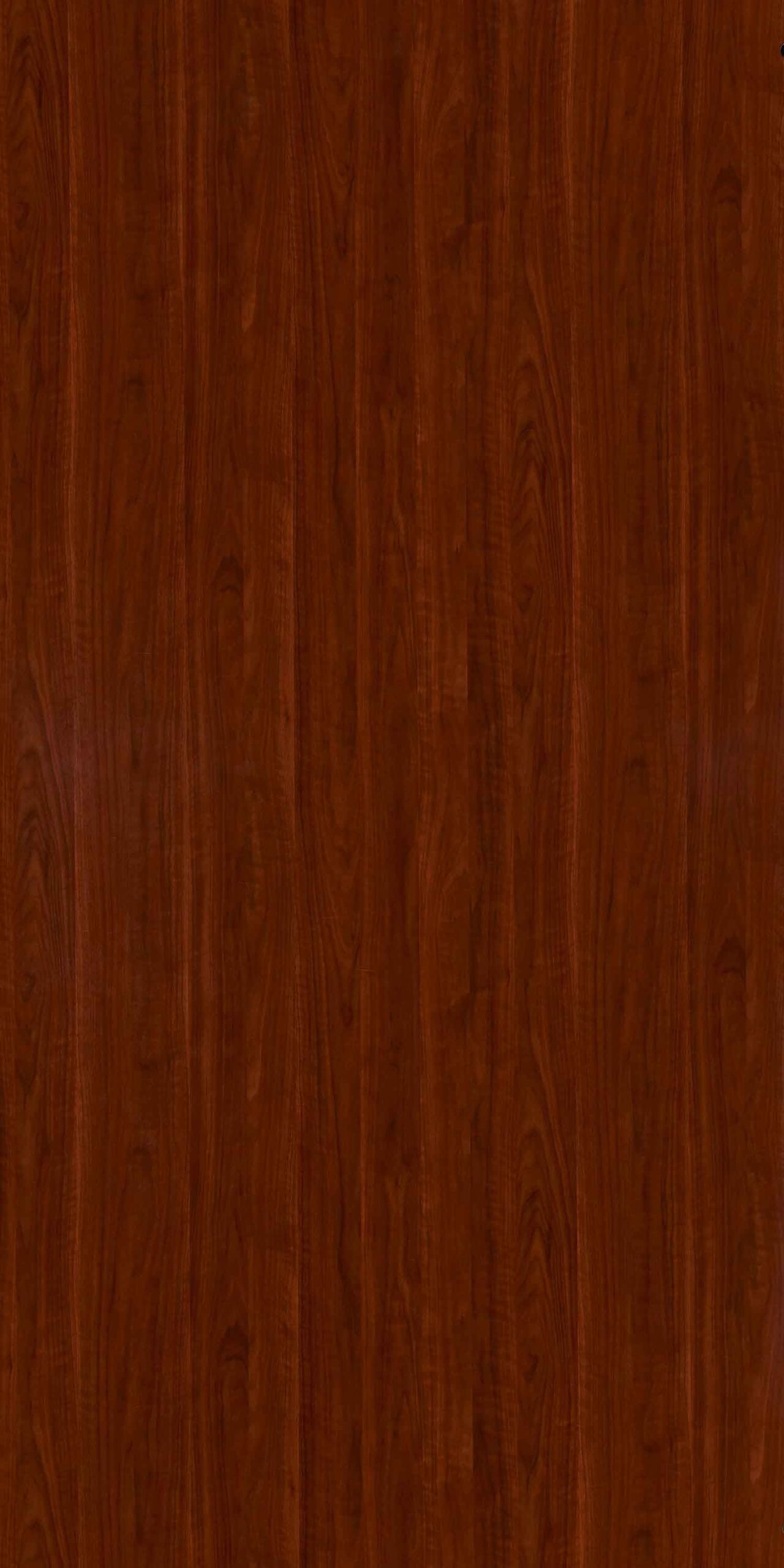 Kernel Walnut | 4526 HG