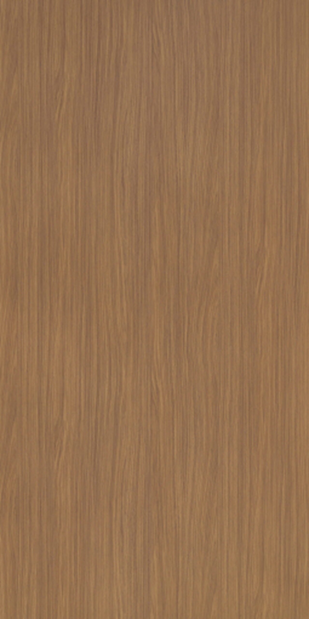 Osaka Walnut | 5416 N