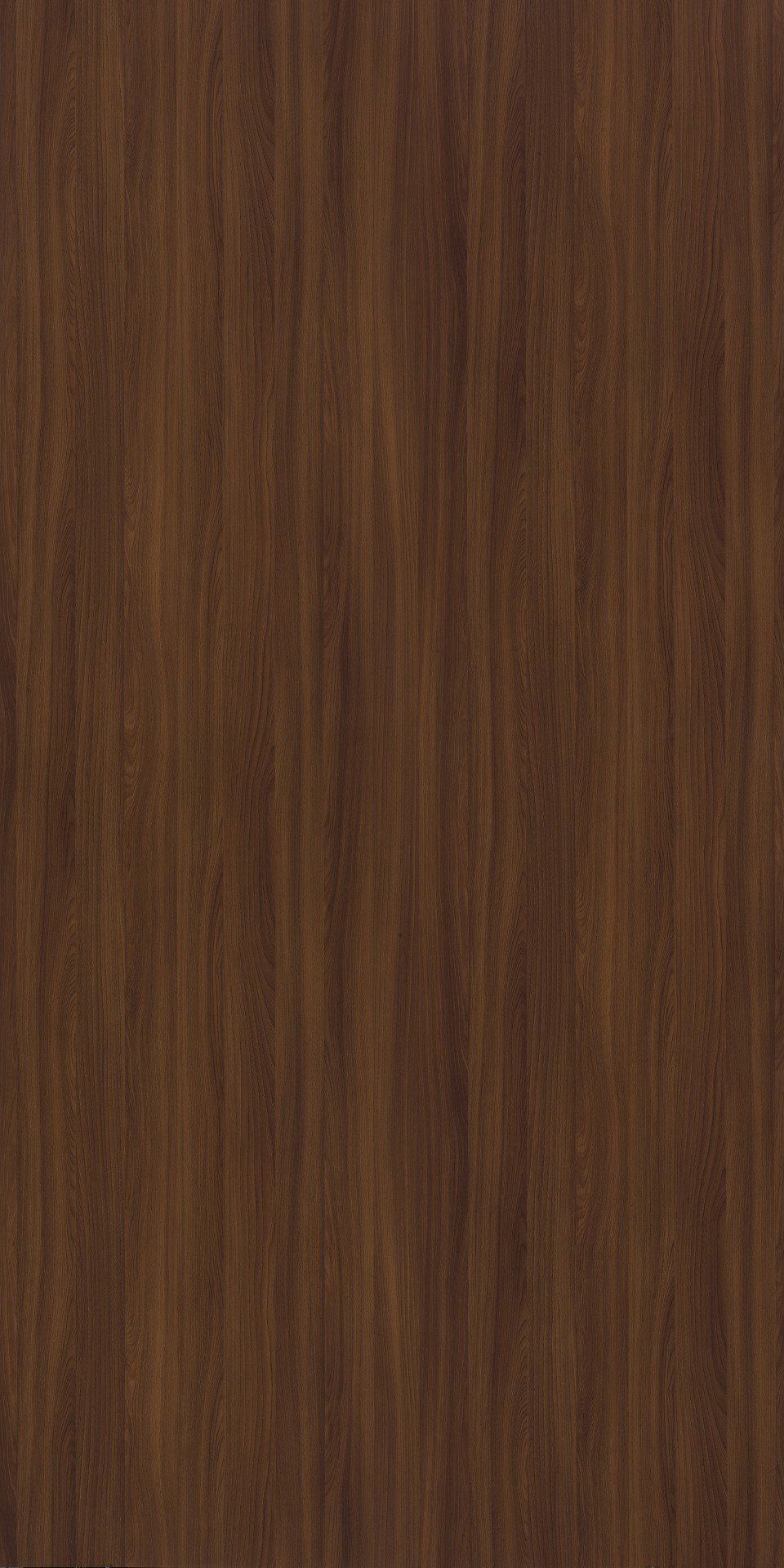 Shimo Ash | 4594 SU