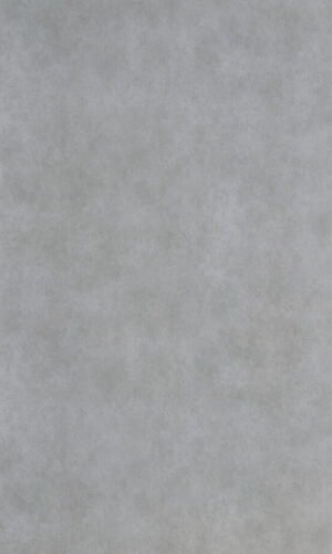 Silver Concrete | 3909 HG