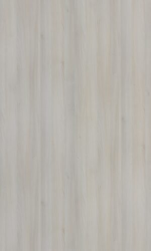Smoke Acacia | 709 SU