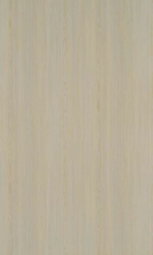 Swiss Cedar | 554 SU