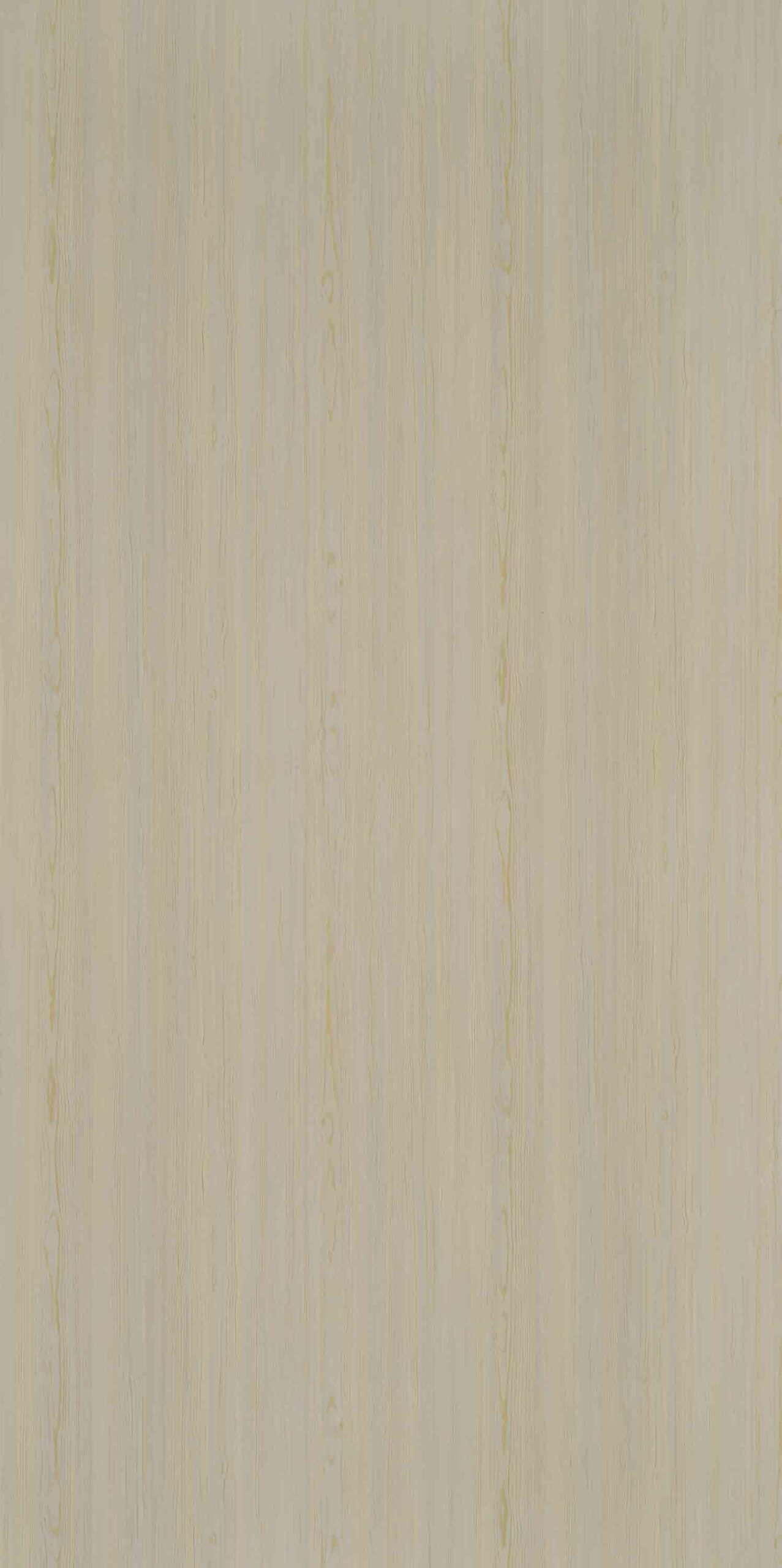 Swiss Cedar | 554 SU