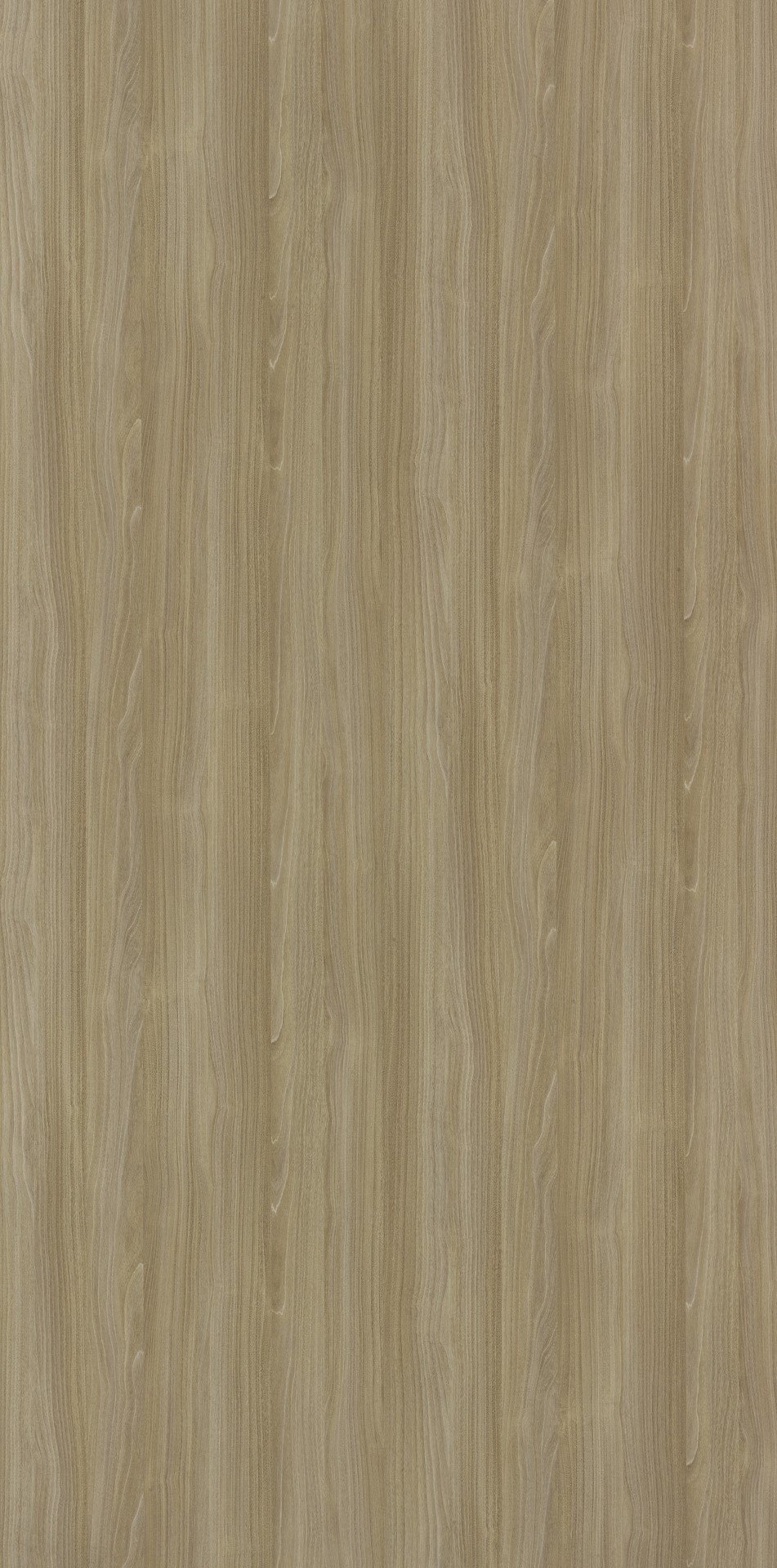 Vermont Maple | 3341 SU